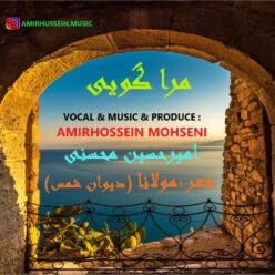 دانلود آهنگ امیر حسین محسنی مرا گویی